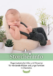 Storcheninfo Chemnitz 4