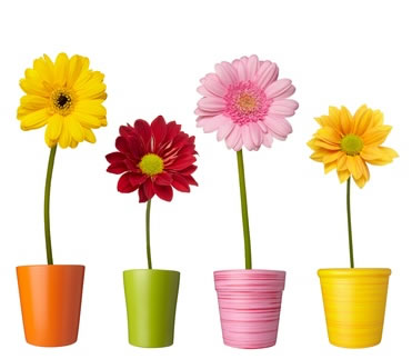 Storcheninfo sucht bundesweit Mitarbeiter Storcheninfo sucht bundesweit Mitarbeiter